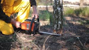 Mulching Services in Bay City, OR